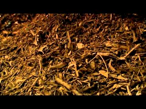 Valorisation-biologique-des-déchets-par-traitement-mécano-biologique