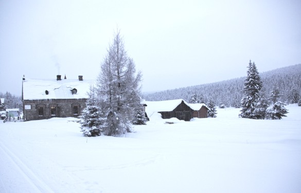 Pologne, ski de fond et pâtisseries à Jakuszyce