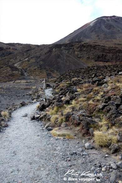 nouvelle-zelande tongario trek (5)