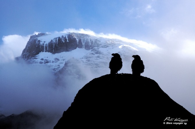 Kilimandjaro marcheme matin