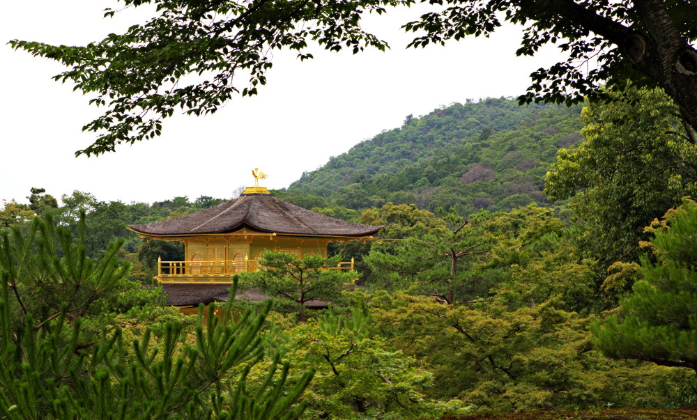 Kinkanku-Ji temple or (1)