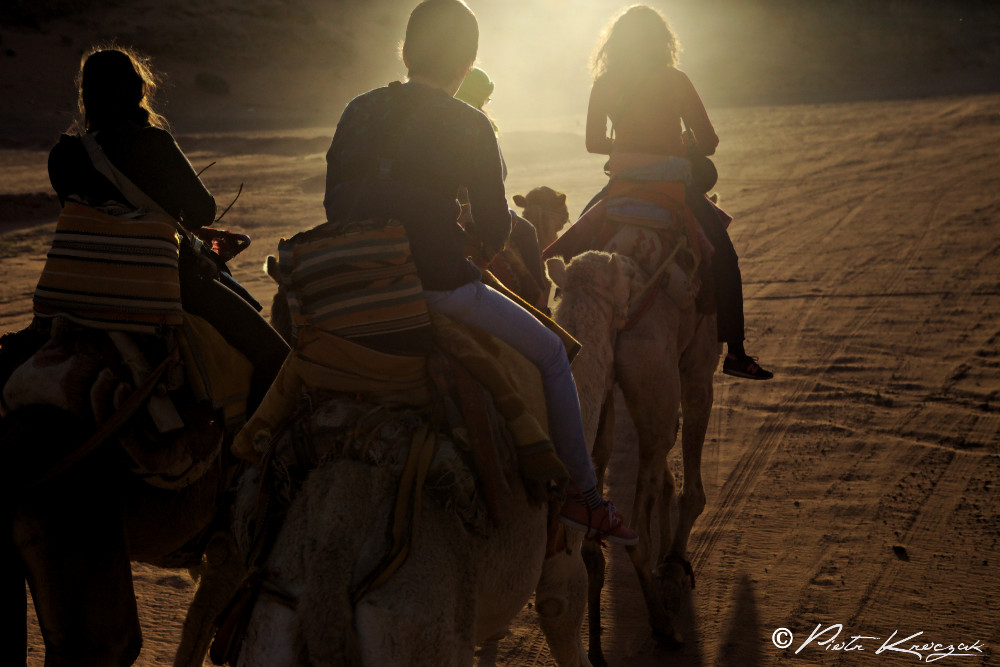balade chameau désert (1)