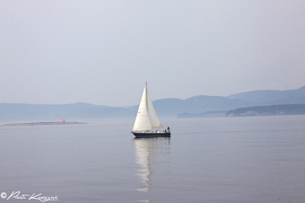 baleine tadoussac (5)