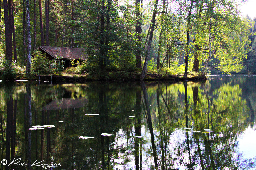 ponton sauna finlandais