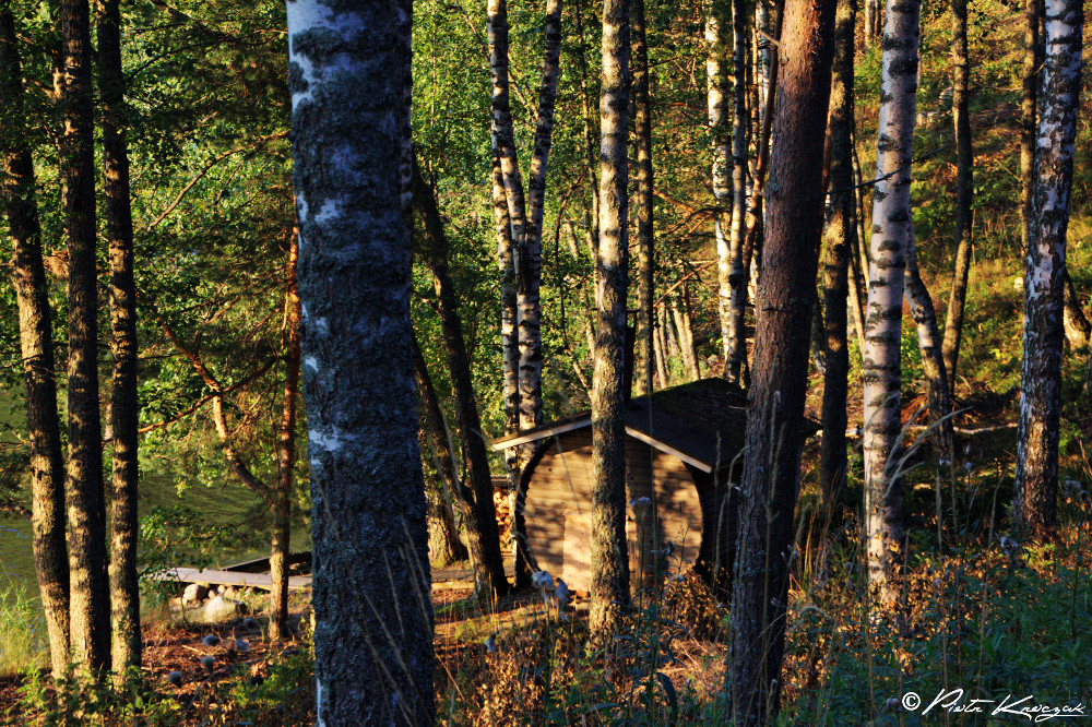 sauna finlandais barrique (1)