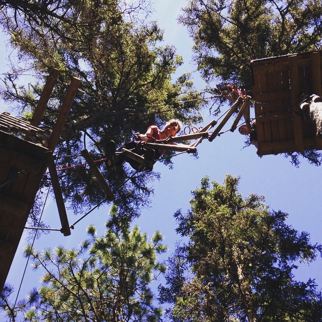 1740006_1709717472589193_453978913_n