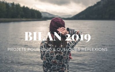 BILAN BLOG 2019 et RESOLUTION 2020