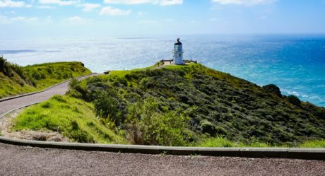 Les plus beaux endroits en Nouvelle-Zélande à découvrir en Van