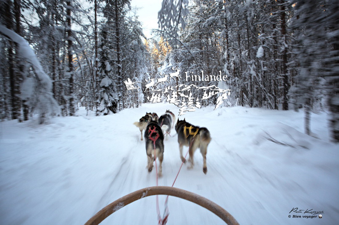 Laponie Finlandaise Pays Du Père Noël Des Huskys Rovaniemi