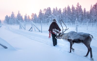 RÉCIT : Finlande, un séjour en Laponie