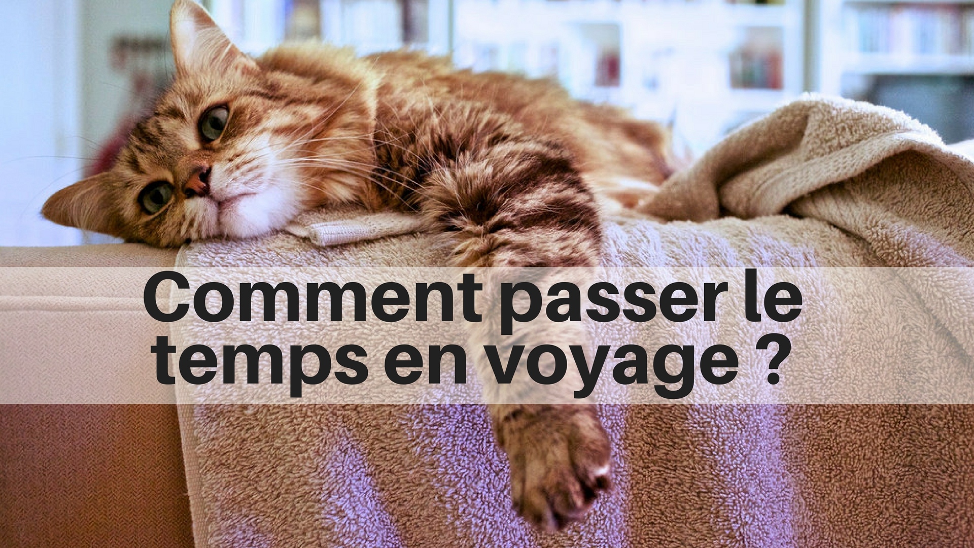 Comment s’occuper lors d’un long voyage ?